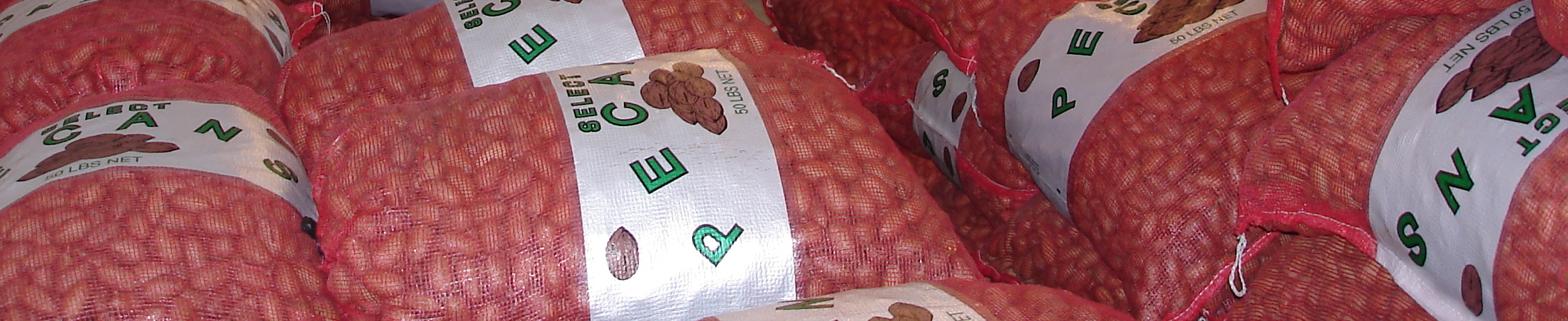 DSC00084-_cropped_in_bags